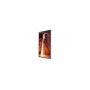 55IN DUAL SIDED OUTDOOR 3000/INDOOR 1000 NIT TIZEN 5
