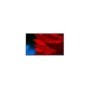 43IN 3YR WARR NEC PRO DISP 4K UHD Landscape/PortraitUnhindered
