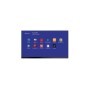 135 PREMIUM ALL IN ONE DIRECT VIEW LED COMMERCIAL DISP1920X1080